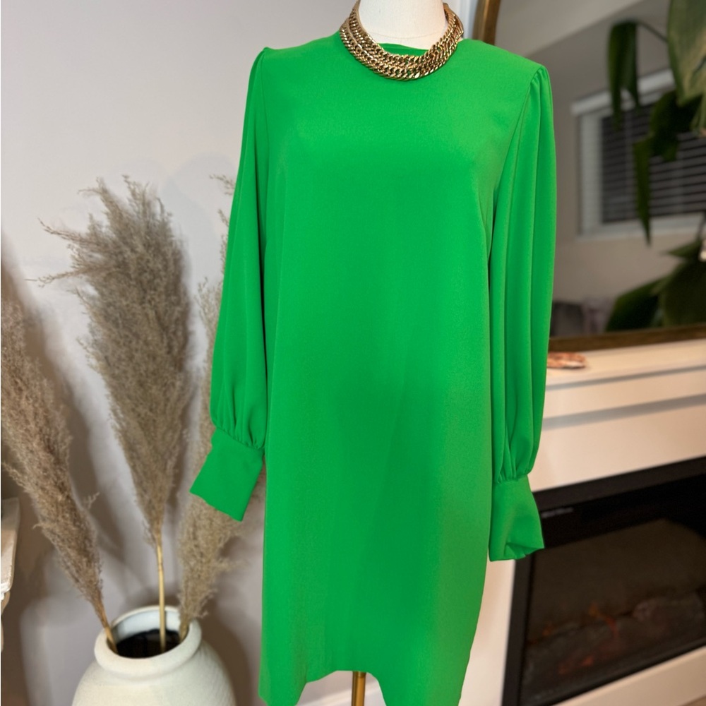 Elegant Green Top/Dress